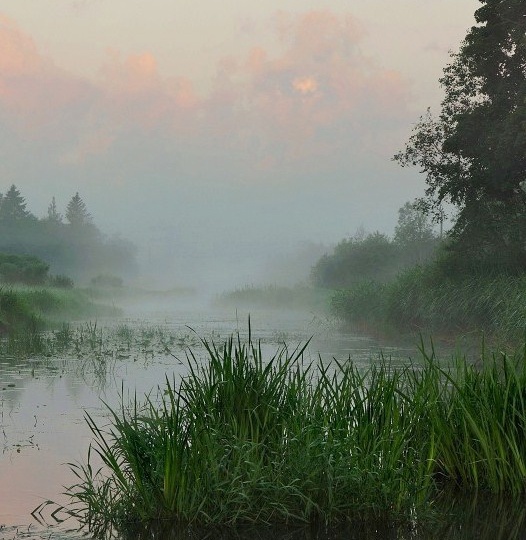 Деревенское лето
