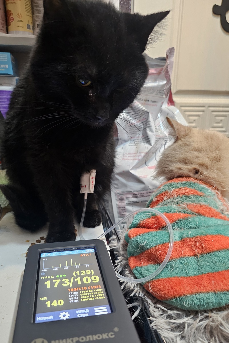 Фото автора. Боремся с давлением.