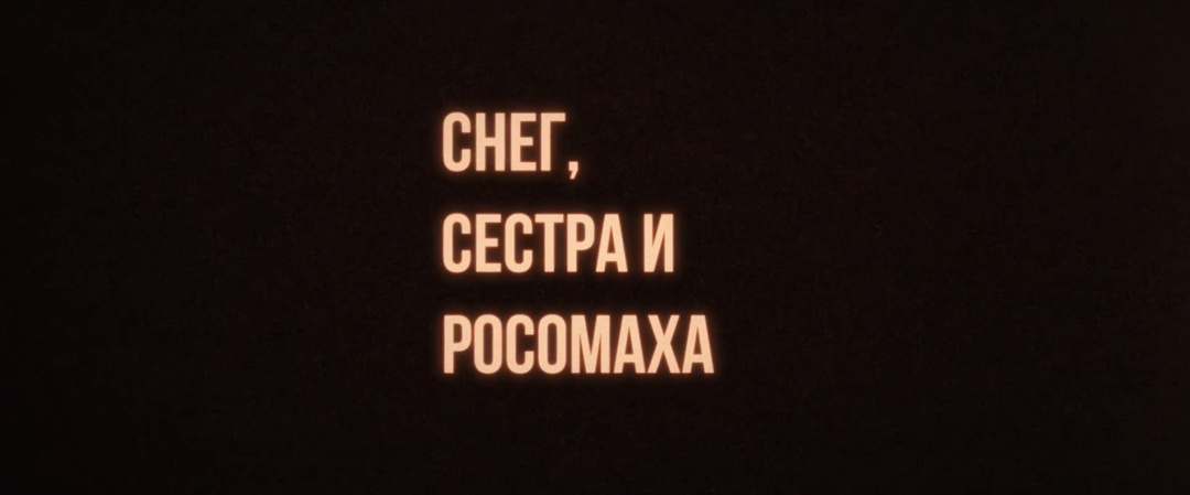 «Снег, сестра и росомаха»: как Роман Михайлов разорвал шаблоны отечественного кино (2023), Россия