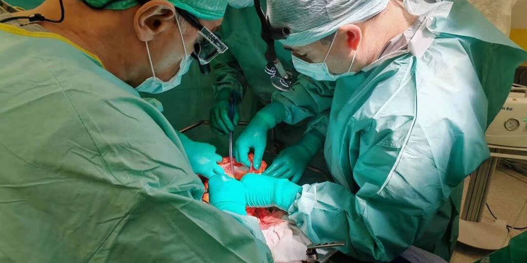 Жизнь без поджелудочной железы