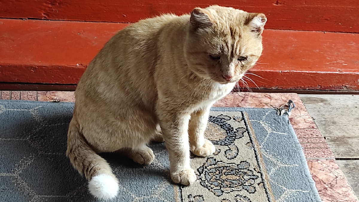    Фото: Маргарита Галанцева