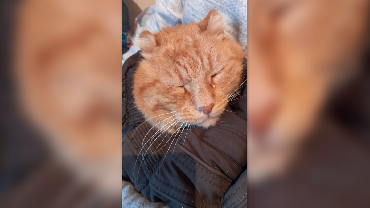    Фото: Маргарита Галанцева