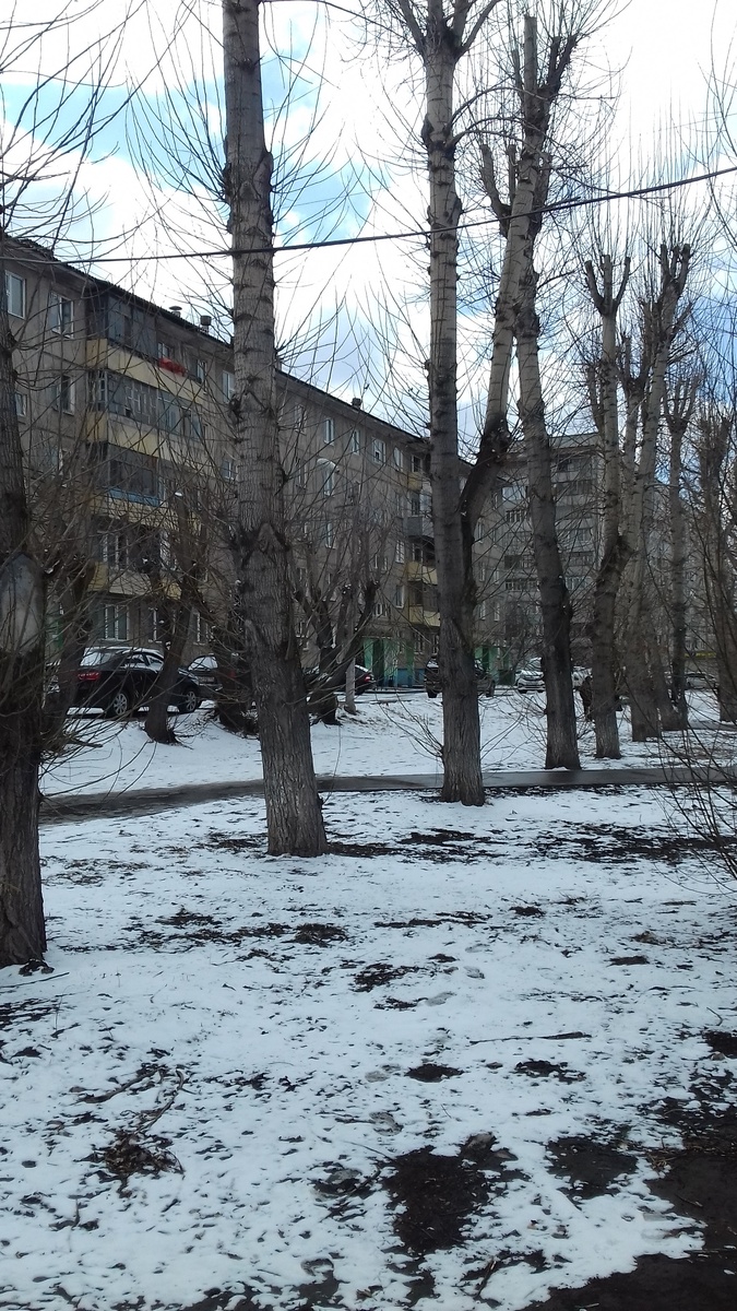 снег в Красноярске. Фото автора.