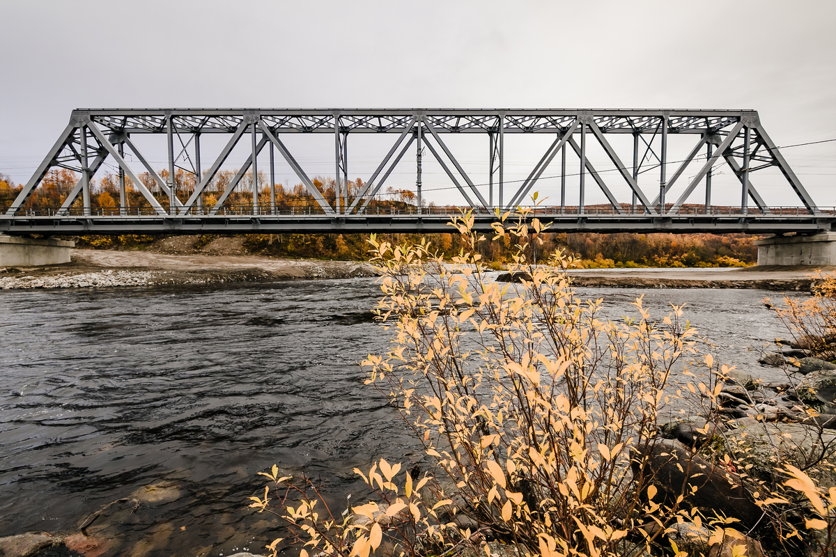 Фото: Официальный сайт Правительства Мурманской области