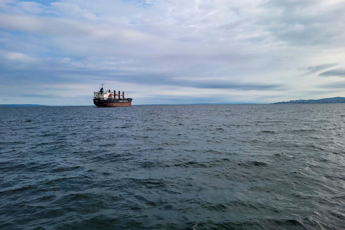 В Поморье продолжается и работа над стратегическим проектом – строительство глубоководного района морского порта Архангельск.  Фото: Фото: ФедералПресс / Анна Миронова