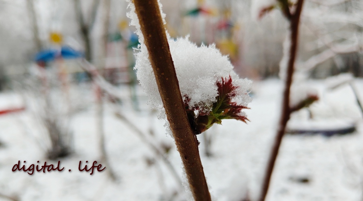 Фото афтора.