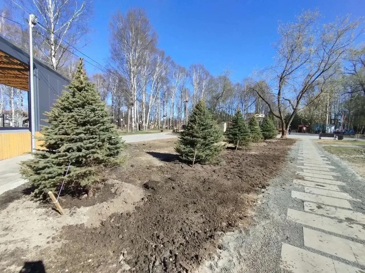     фото МБУ «Дирекция городских парков культуры и отдыха»