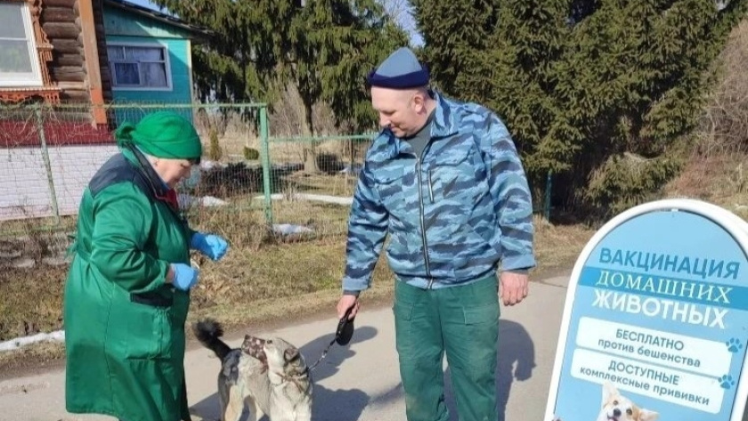    правительство ЯО