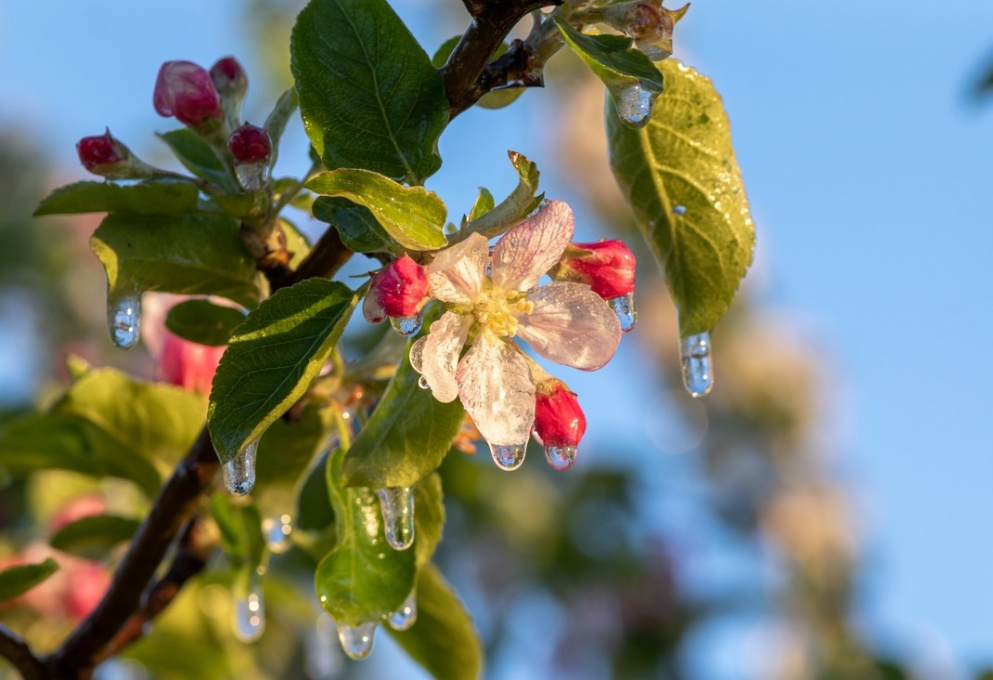 Источник: tochka.by