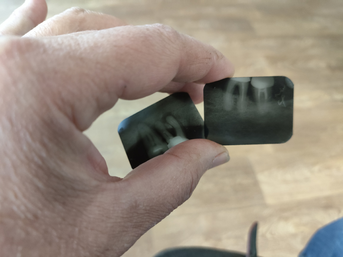 Сижу, держу снимки, жду...