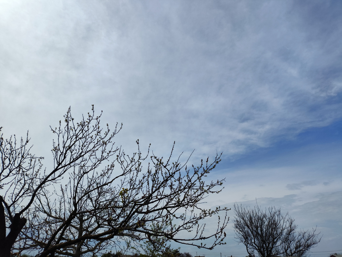 После обеда....