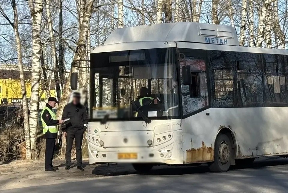    Фото: пресс-служба УМВД России по Костромской области