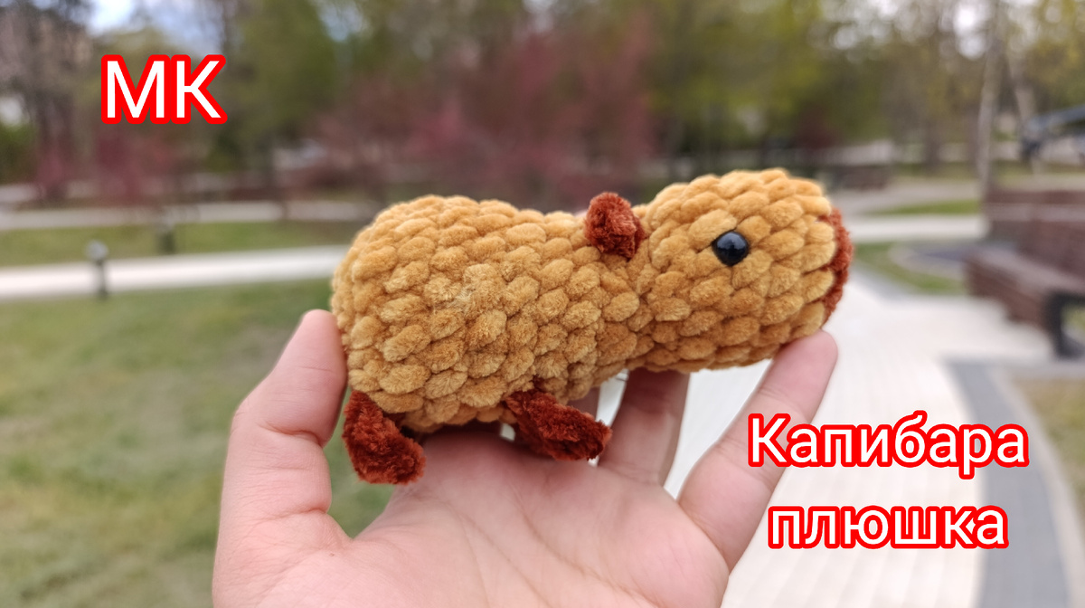 Капибара 
