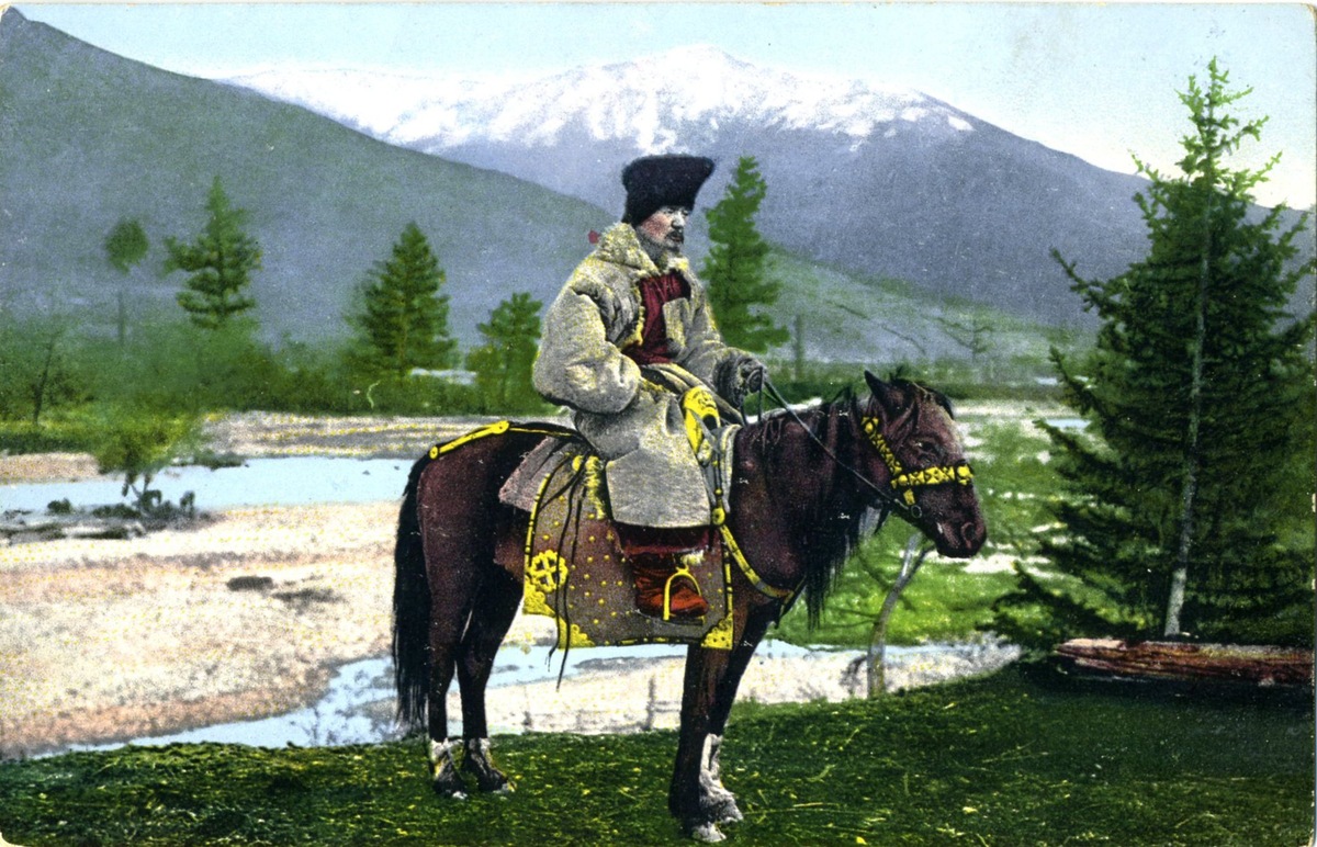 Тип алтайца