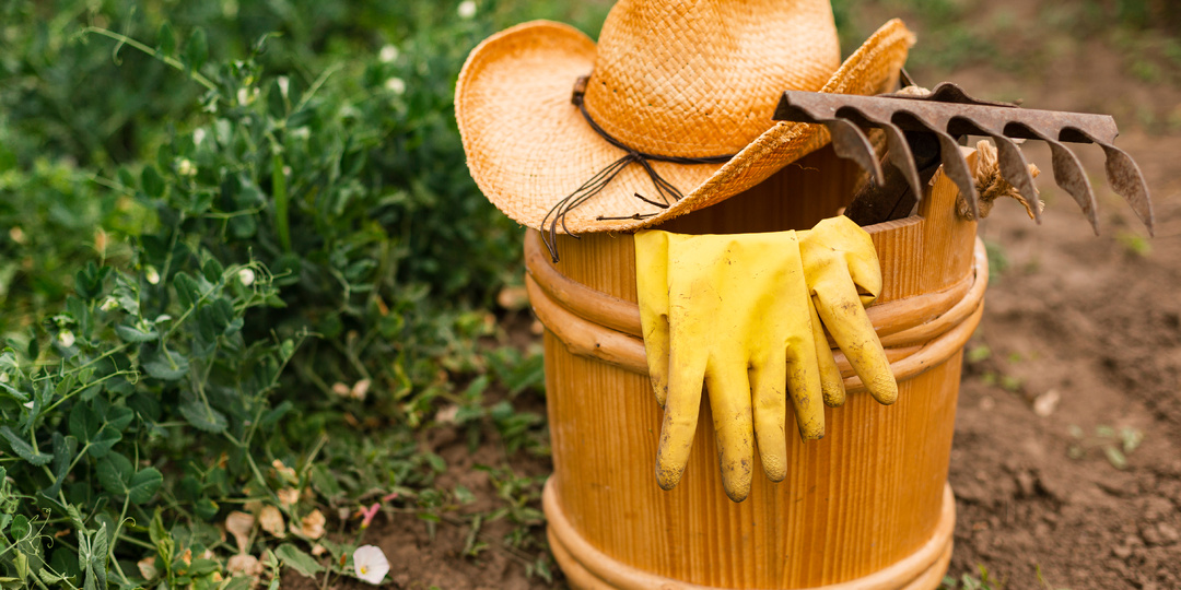 Что нельзя делать 25 апреля, иначе будут финансовые потери: народные приметы на день Василия Парильщика