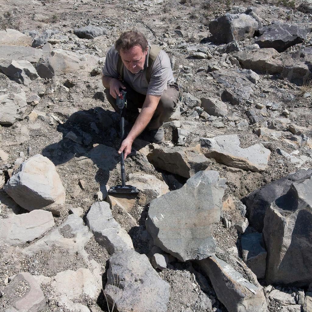 Изображение сгенерировано ИИ