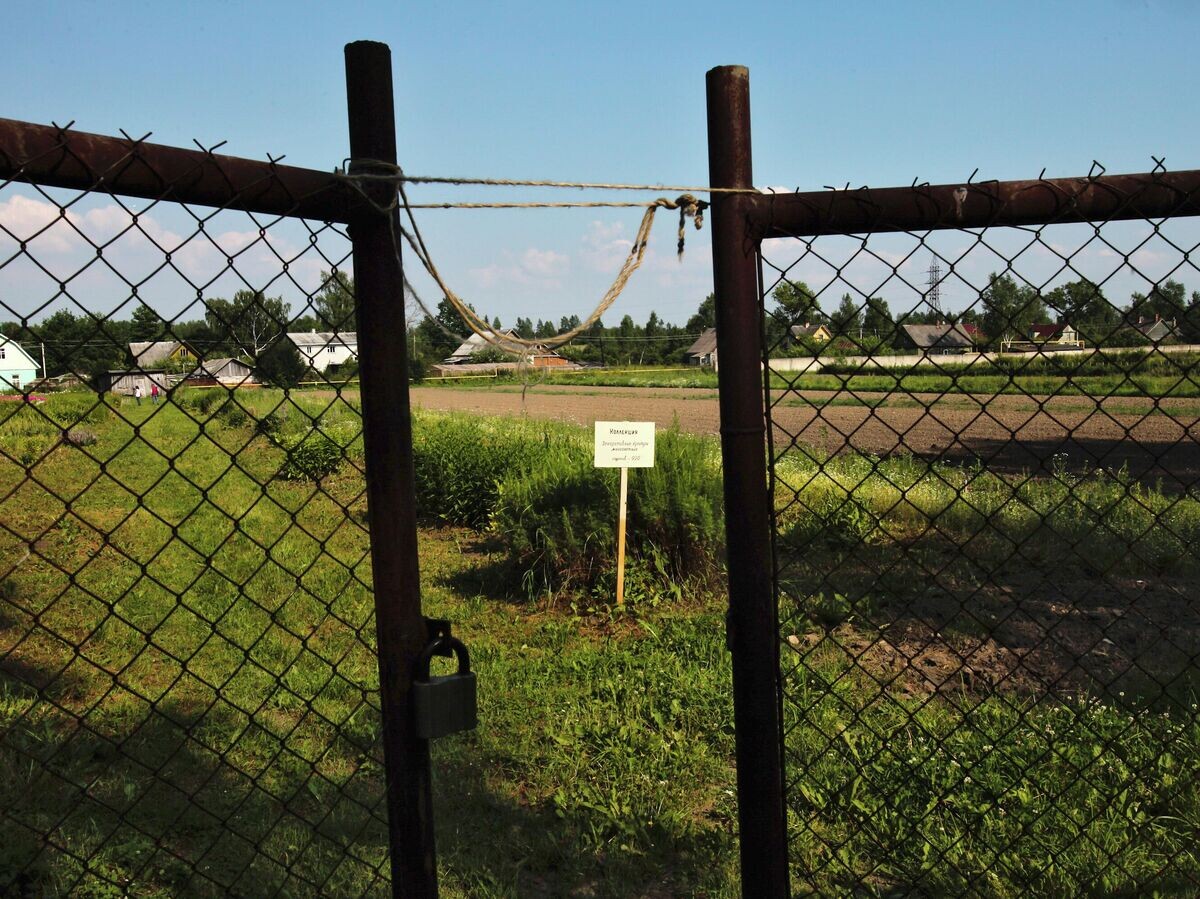    Земельный участок | © РИА Новости / Алексей Даничев