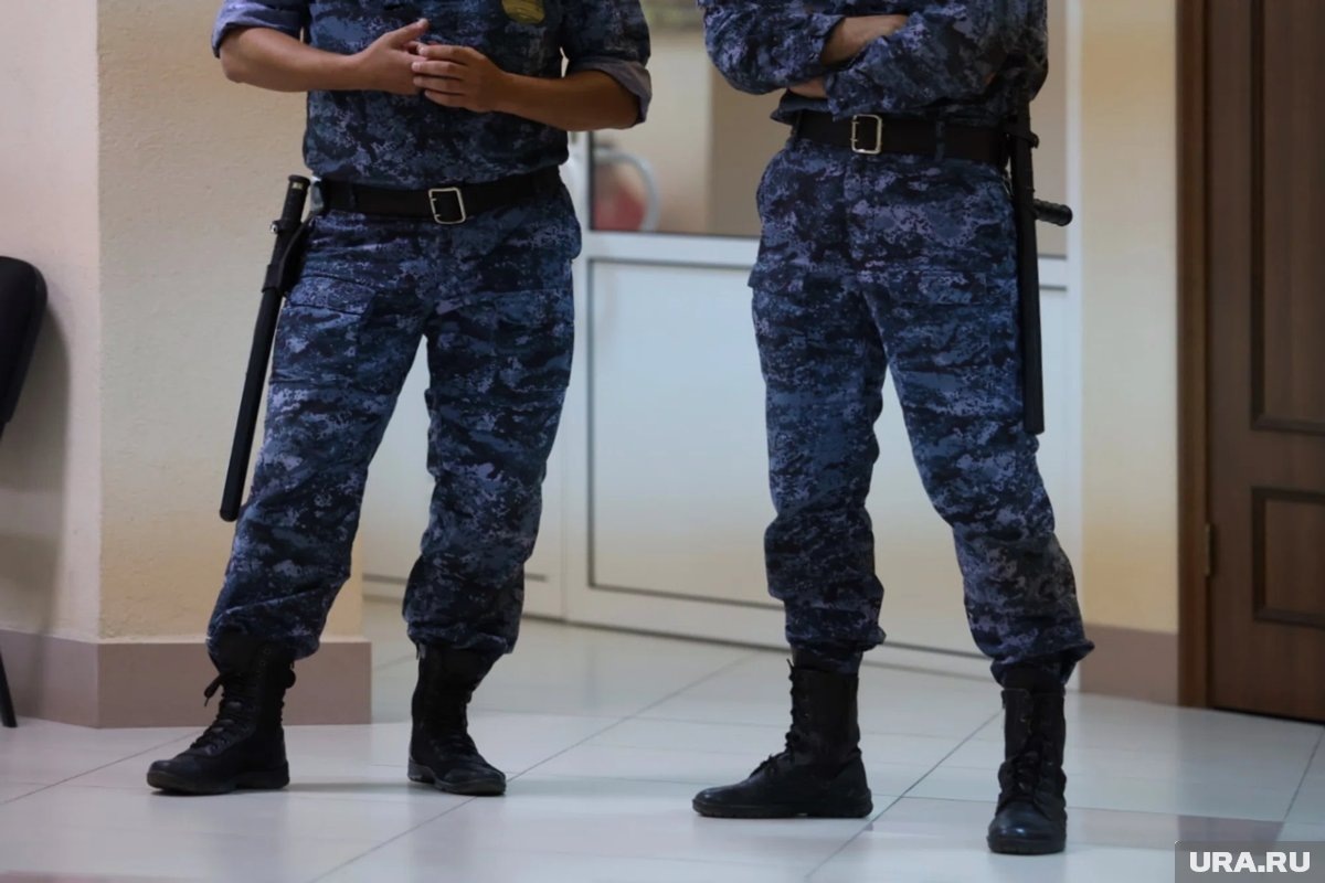     В Кургане приставы остановили на входе в суд женщину с мечами в волосах