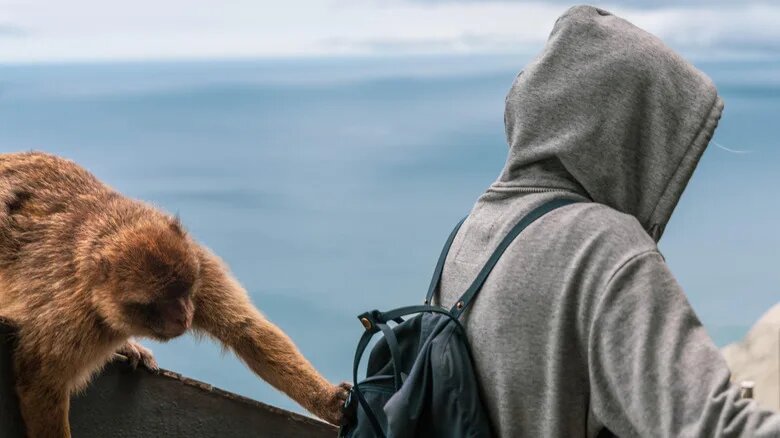 Источник : explore.com