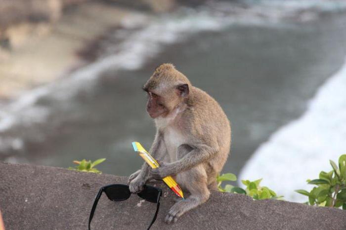 Источник: fb.ru