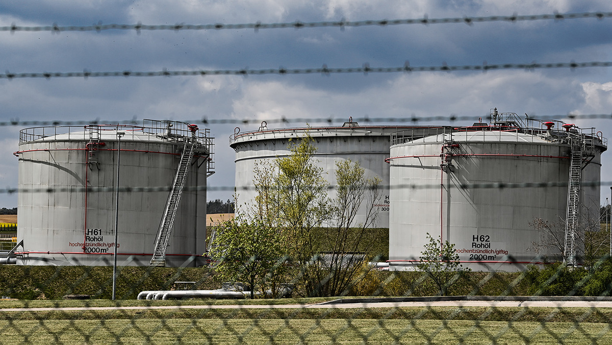   Patrick Pleul / DPA / Picture Alliance / TASS