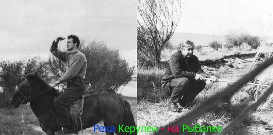 На фото живой образец Лошади Пржевальского! Невысока, но очень вынослива. На фронтах ВОВ они трудились в большом количестве, что поставляла нам дружественная Монголия, как и изделия из кожи, меха, да и просто мяса!