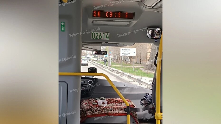 «Орал так, что до сих пор нехорошо»: в Воронеже девушке нахамил водитель маршрутки