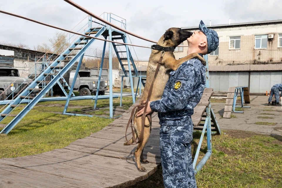 Максим Осипов и Дарси. Фото: Любовь Ланчева / chel.kp.ru / предоставлено для публикации hornews.com