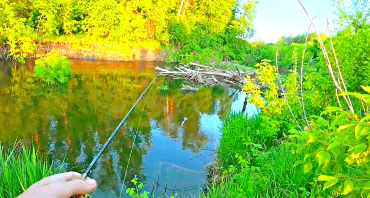 Рыбалка на-коротке, водоем с зацепами