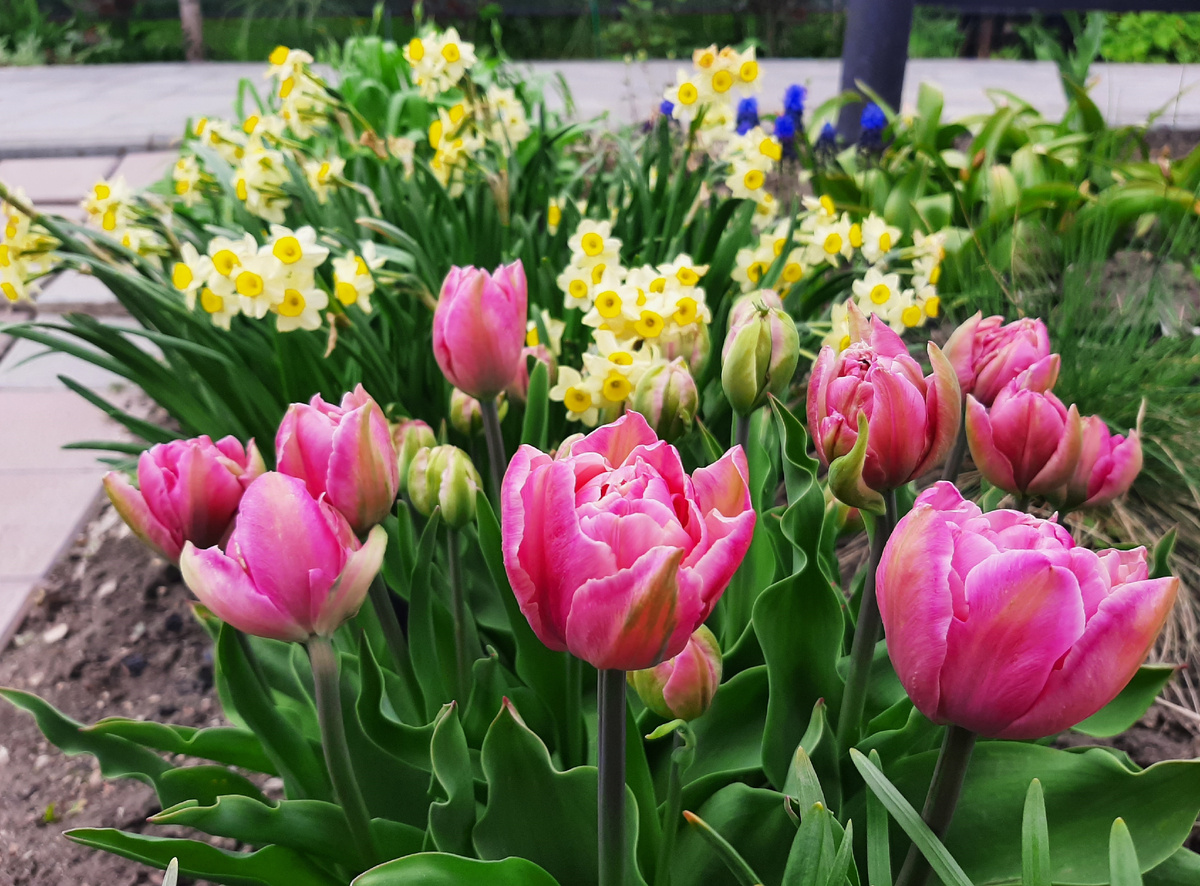 Горшки ещё "на запасном пути"