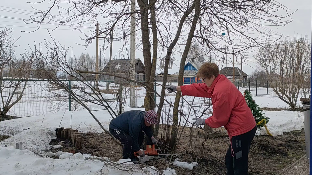 Лесорубы за работой. Листайте 5 фото