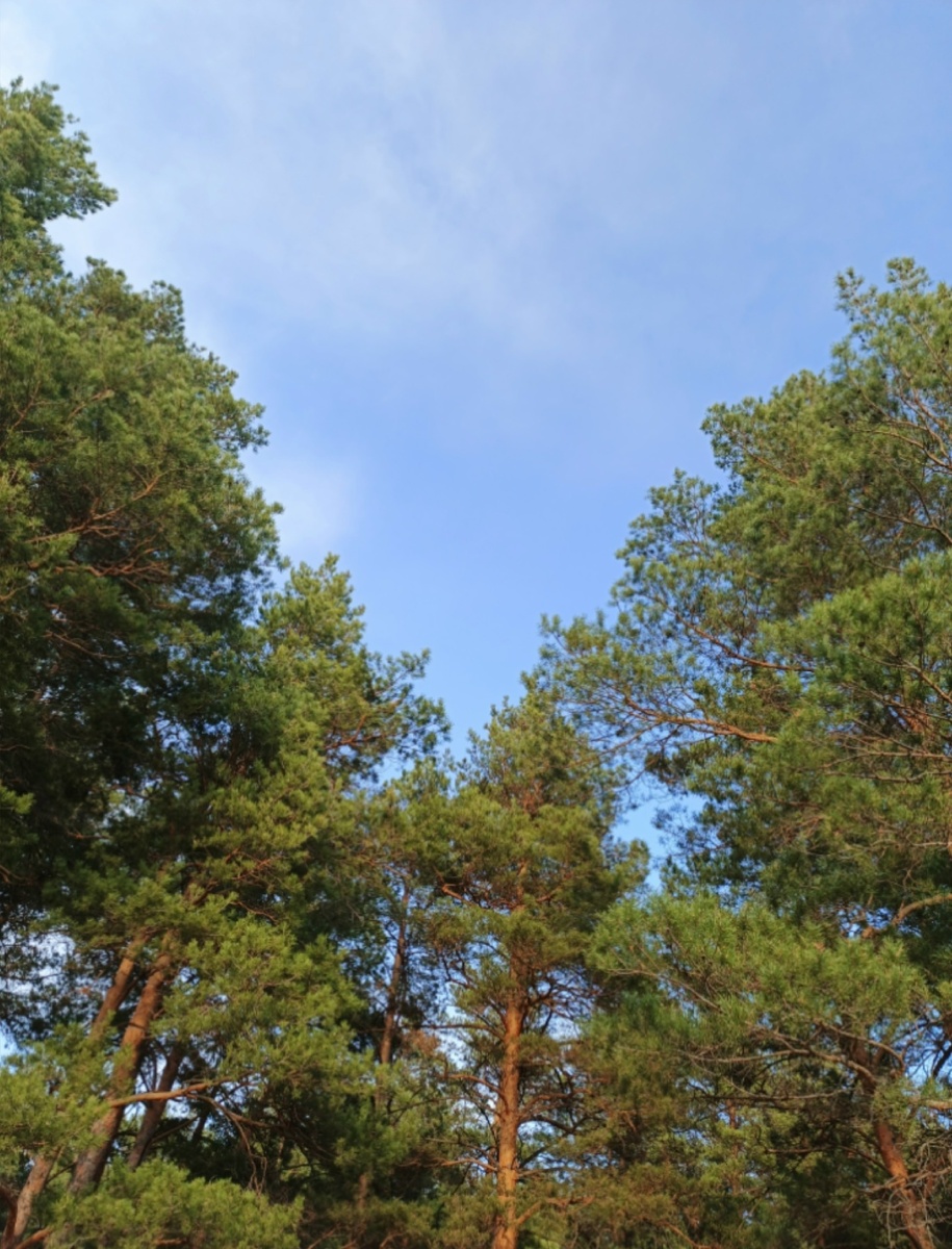 Фото из личного архива