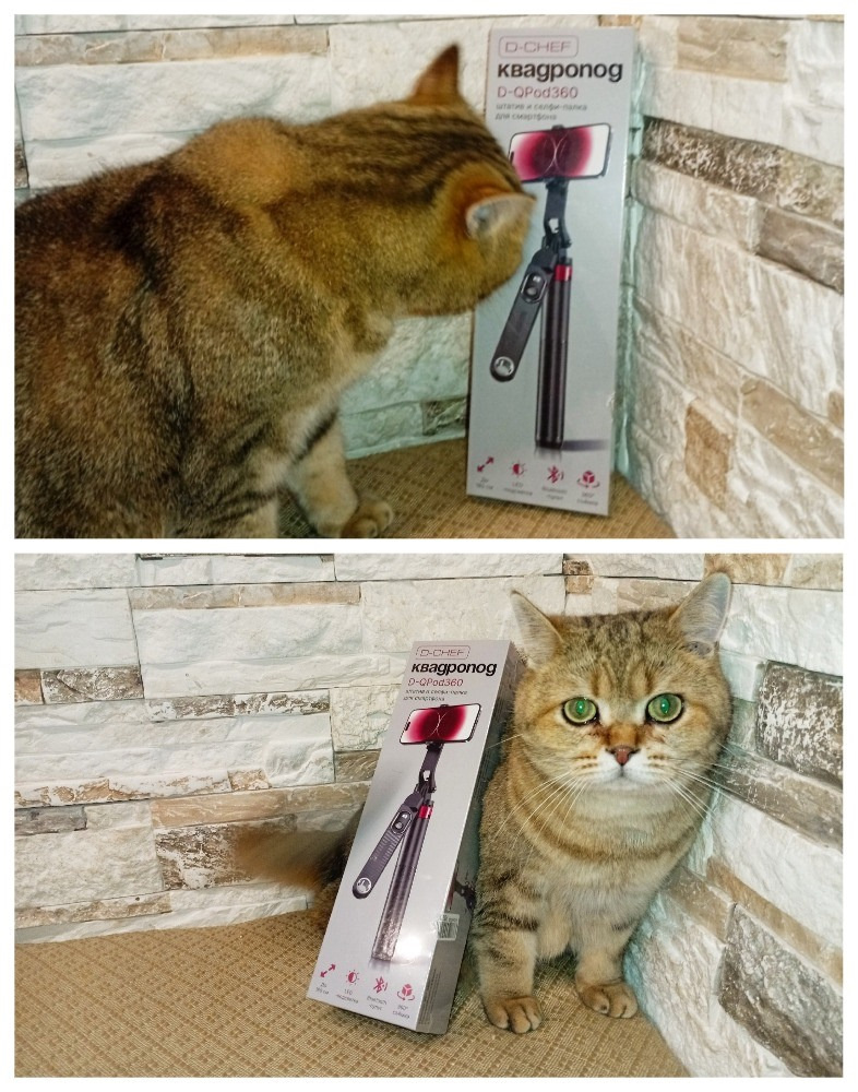 Не он ли это…Проверим!