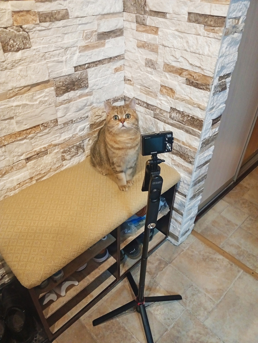 Снимите это немедленно!)) с Daddy ChefD-QPOD360