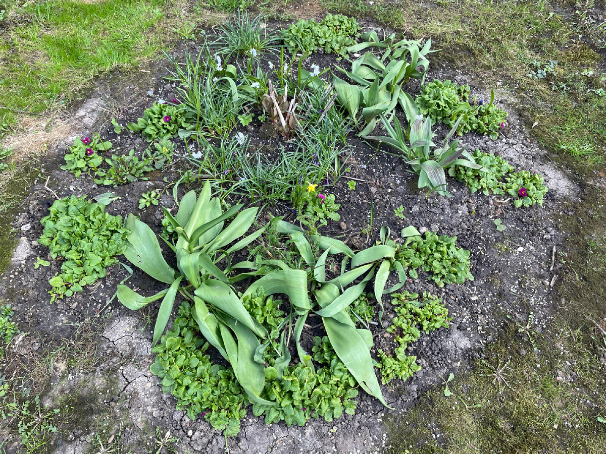 22 апреля 2026 года