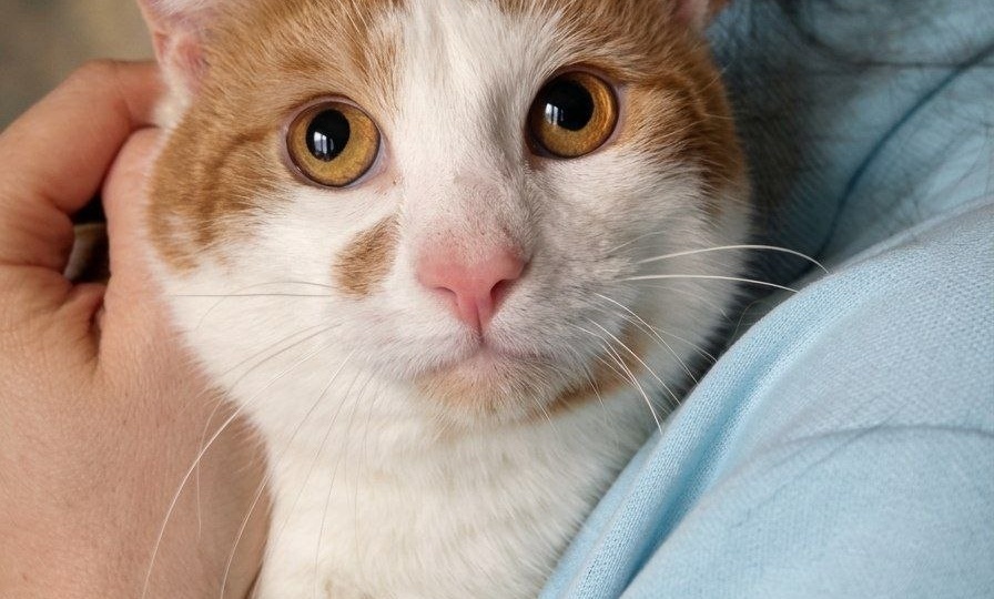 Забытый на 10 месяцев.❗ПОСТ-ШАНС❗