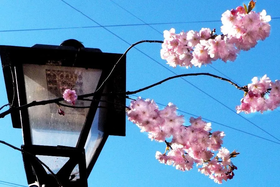 ФОТО Сергея ГРИЦКОВА

