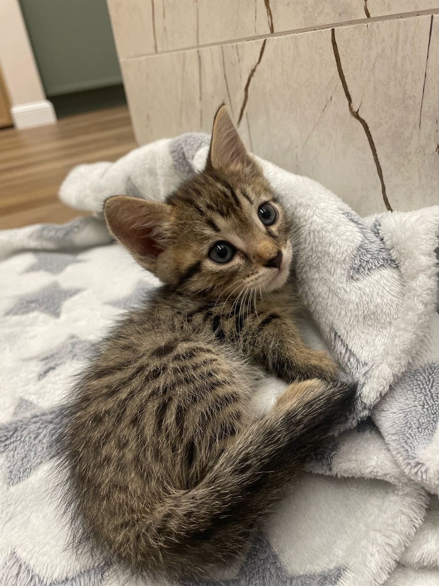 Первый счастливчик