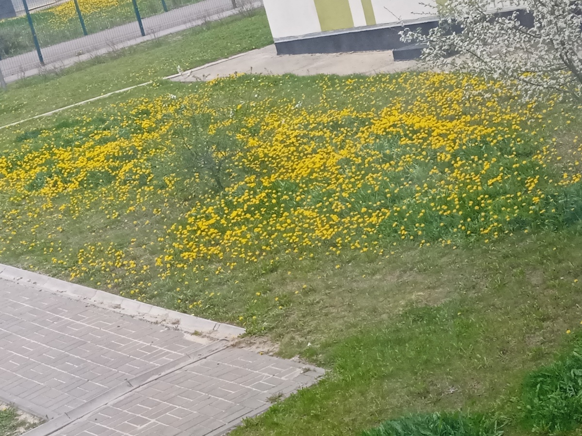 21 апреля 2026