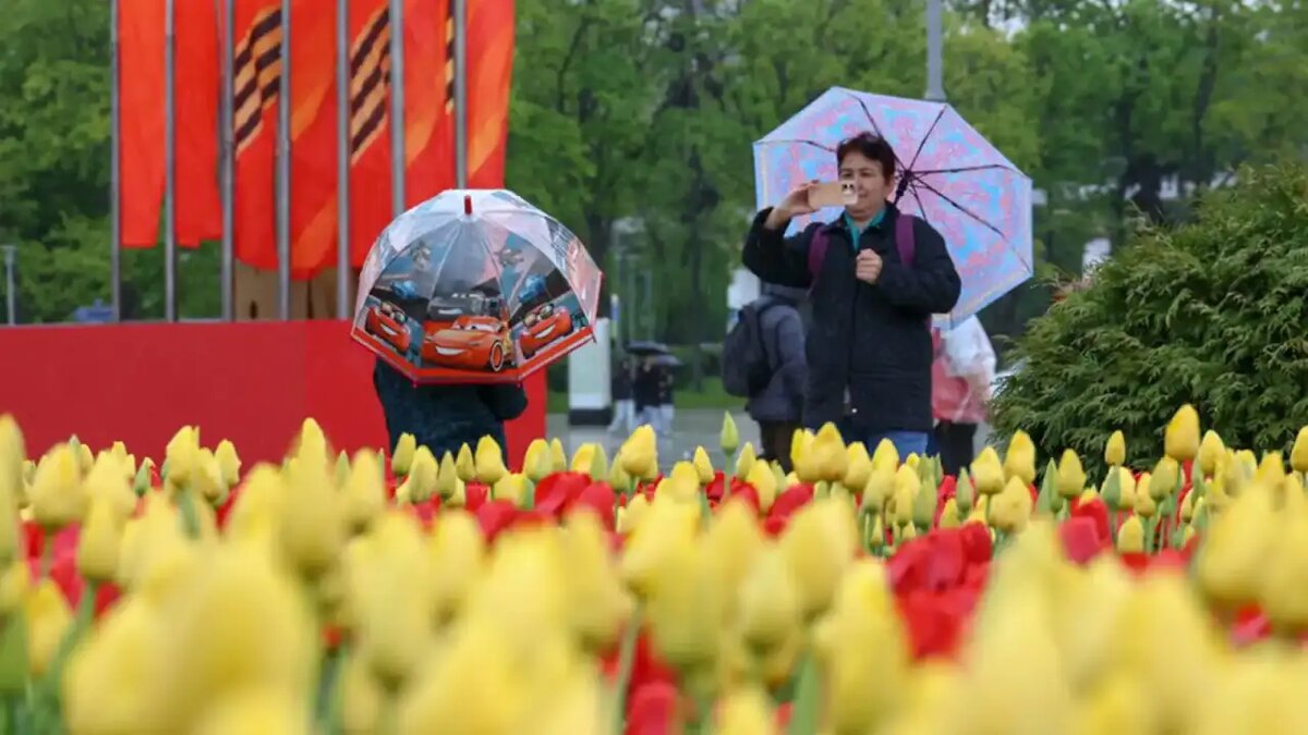    Погода в Москве. АГН "Москва"