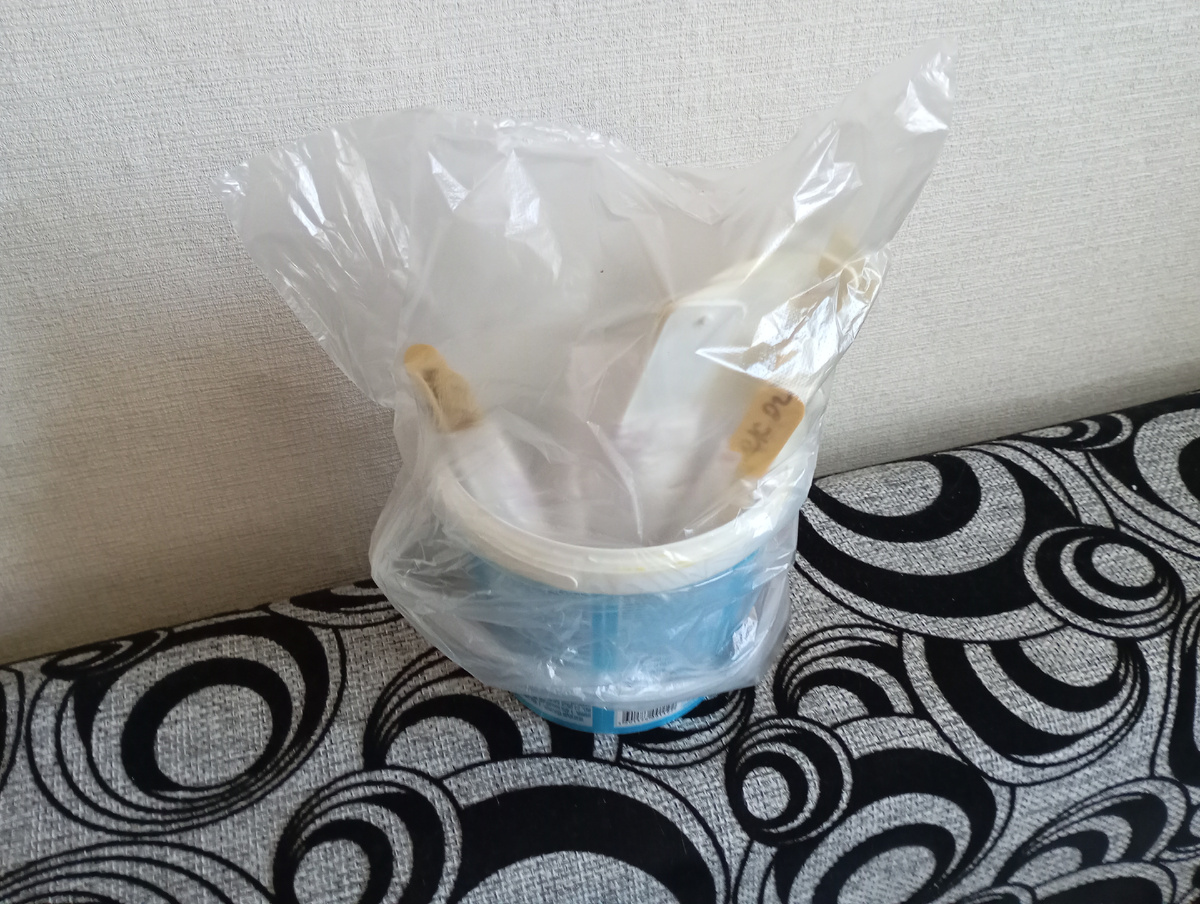 Моя тепличка с семенами арбузов и дынь. Фото автора.