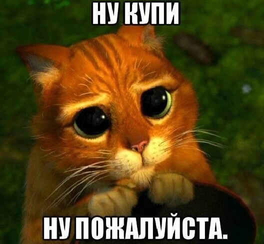 Картинка из открытых источников