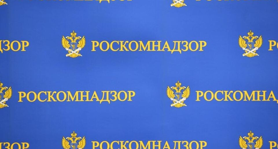 Роскомнадзор дал 1730 компаниям доступ к зарубежным ресурсам через VPN