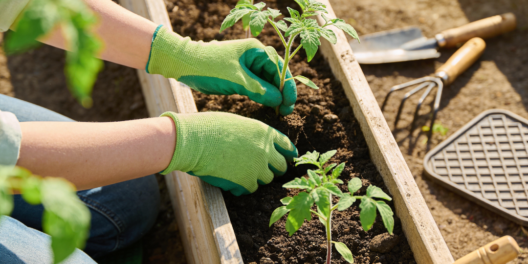 «Конец апреля 2026: что сажать на даче — полный гид для богатого урожая»