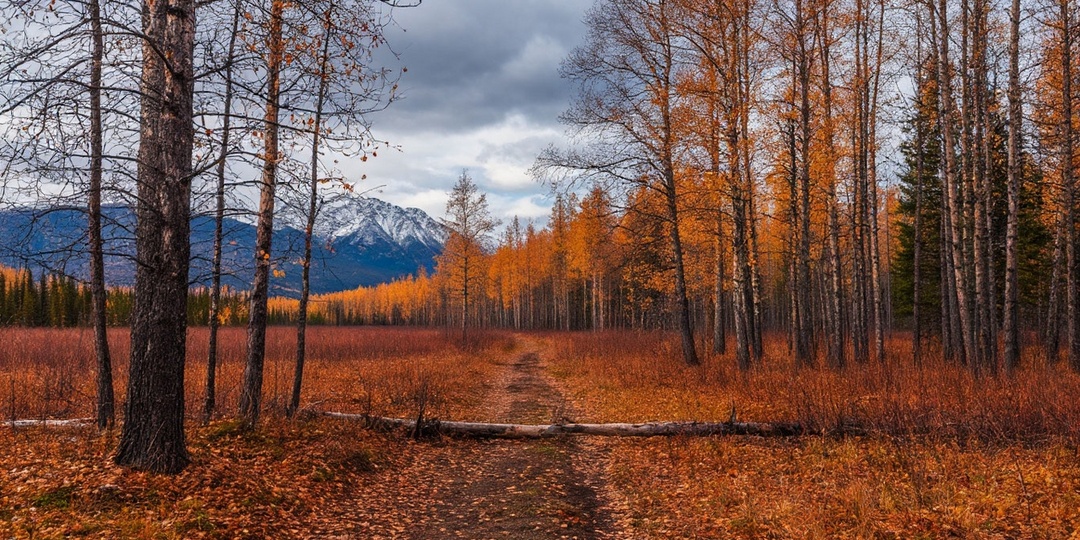 Усольцевы: последние новости вечером 22 апреля, что угрожает поисковикам