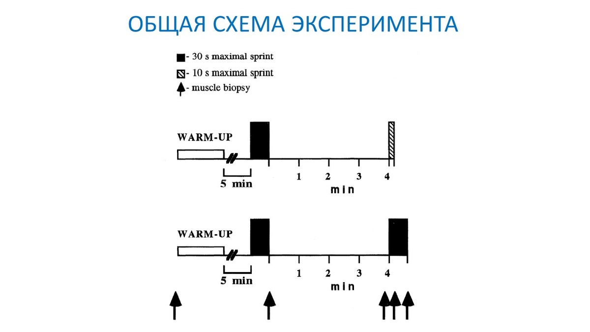 Рисунок 1. Общая схема эксперимента: два спринта (30 + 10 с или 30 + 30 с) с отдыхом между ними 4 мин.