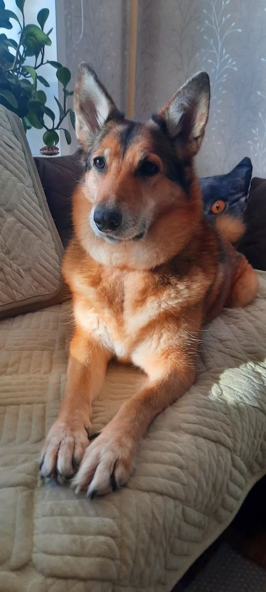 А у нас снова праздник!