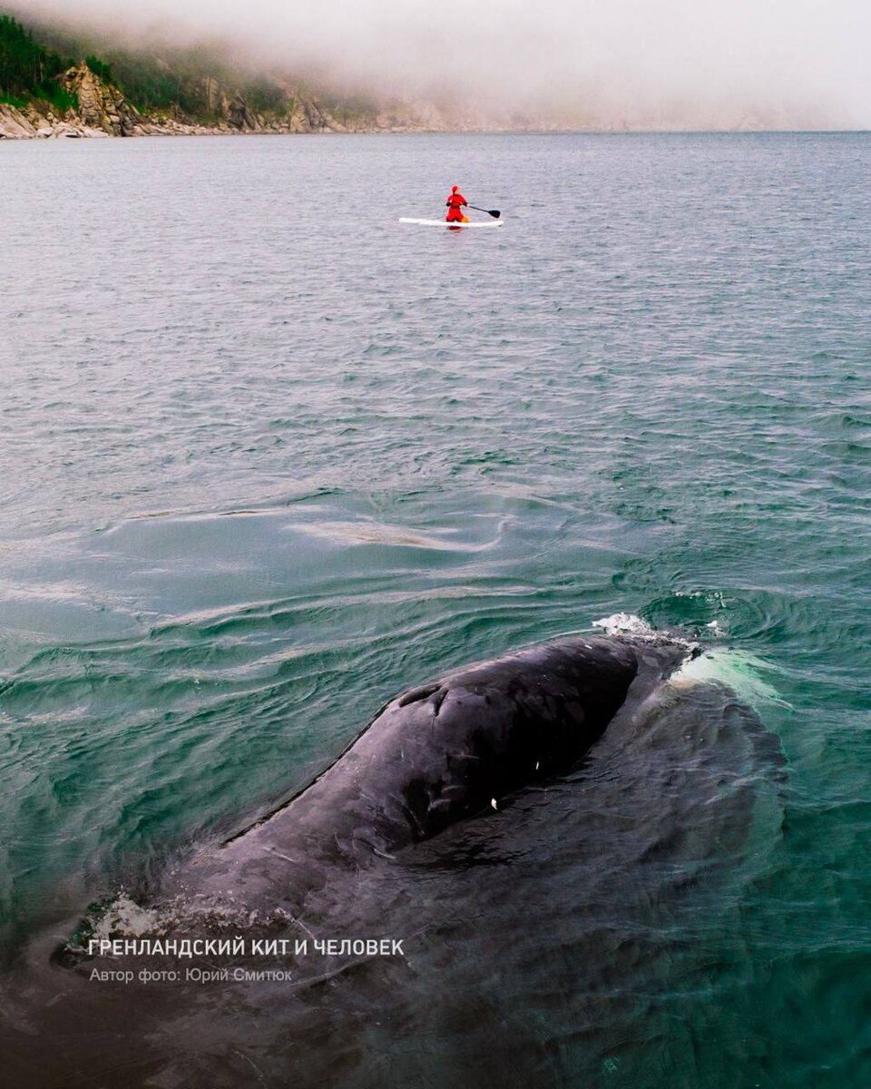 📷 Юрий Смитюк (https://t.me/smityuk_y)