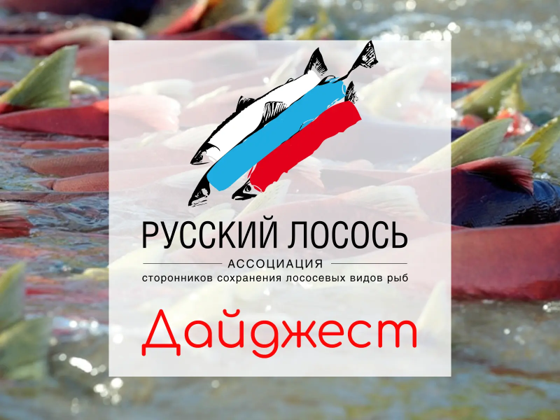 Фото: Кроноцкий государственный заповедник