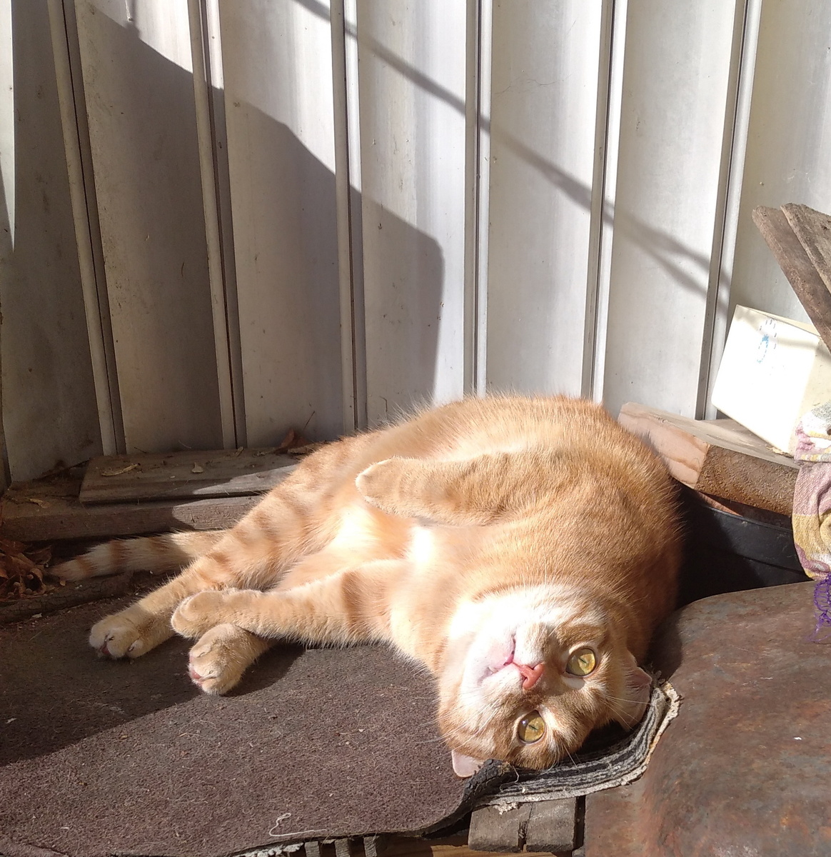 личное фото